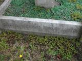image of grave number 173215